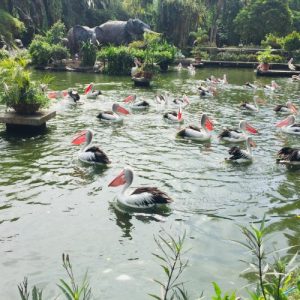 Zoo