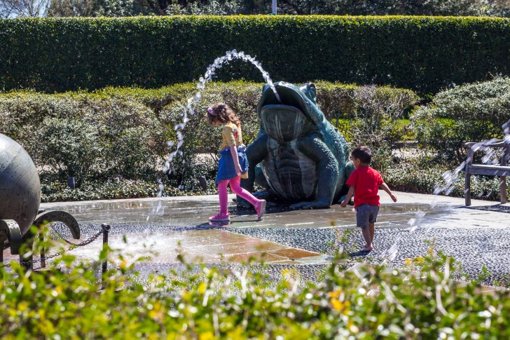 Dallas Botanical Garden and Arboretum