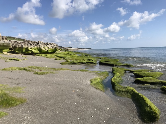 Blowing Rocks Preserve