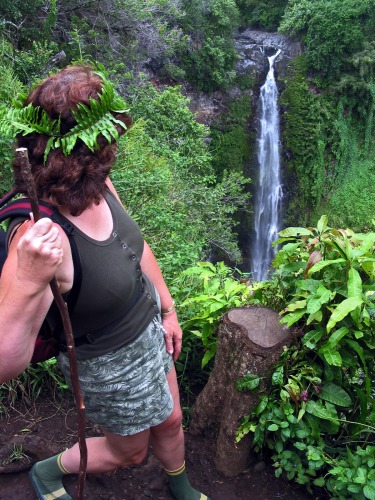 Waterfall Walk in Maui