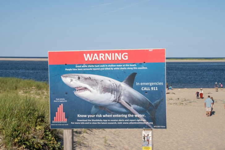 Chatham Lighthouse Beach