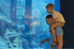 Dad and son spend time together in the Aquarium. Son sits on dad's back and explores the underwater world