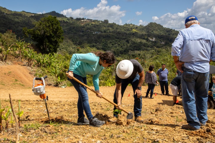 Adjuntas