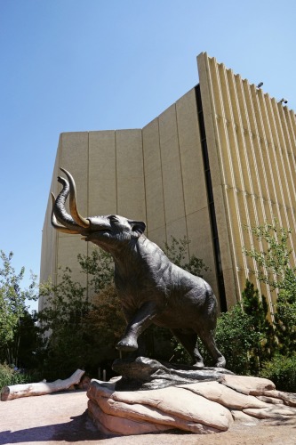 Denver Museum of Nature and Science