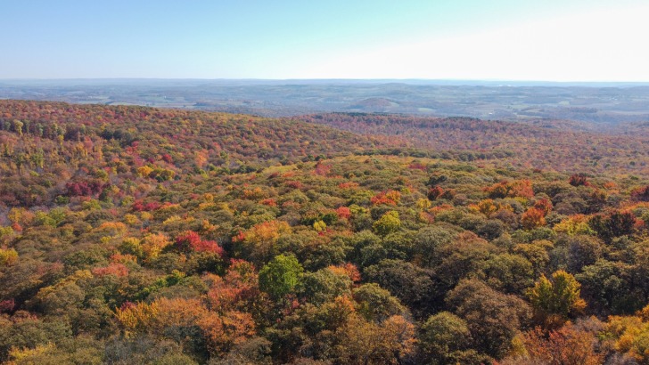 State Parks by State