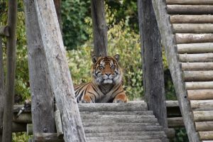 Zoo