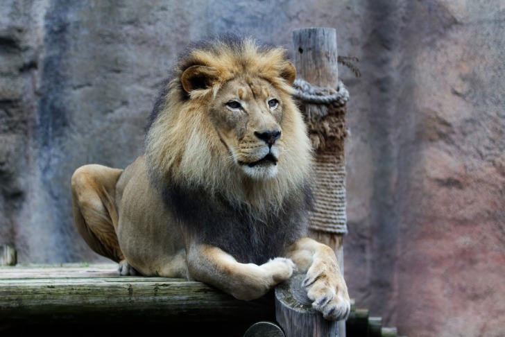 Sacramento Zoo