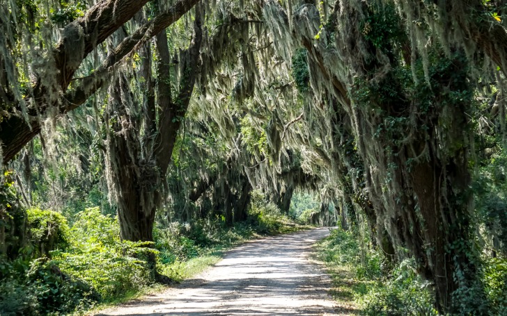 LSU Rural Life Museum