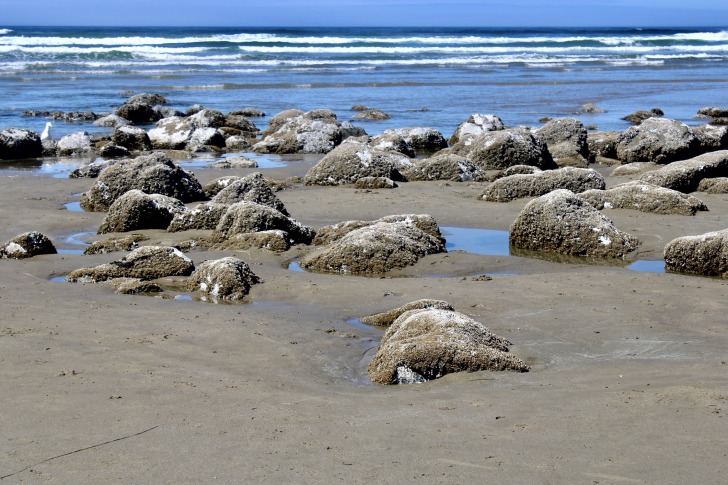 Nye Beach, Newport