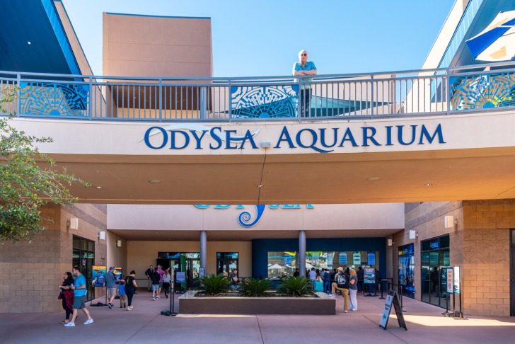 OdySea Aquarium