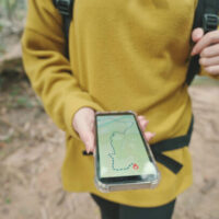 Woman hiking and backpack wearing yellow sweater walking and using smartphone for lookig GPS and map in the forest