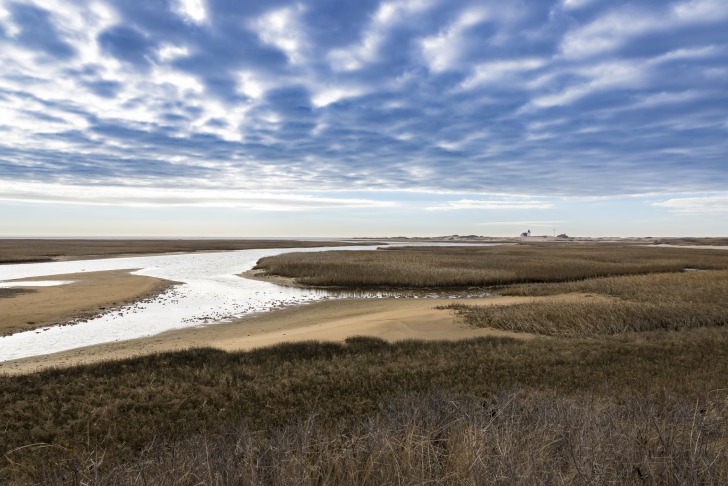 Race Point Beach