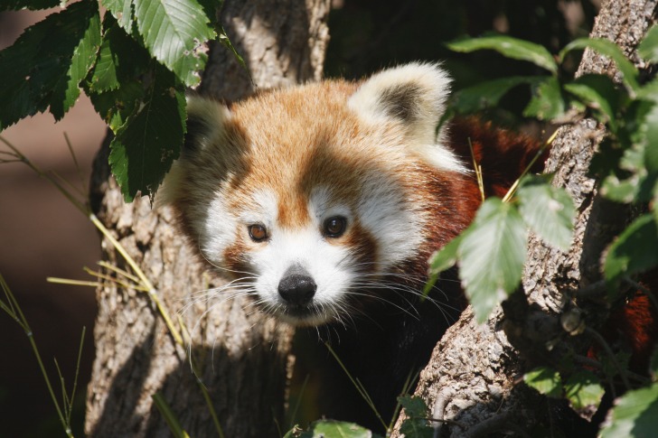 Oklahoma City Zoo and Botanical Garden