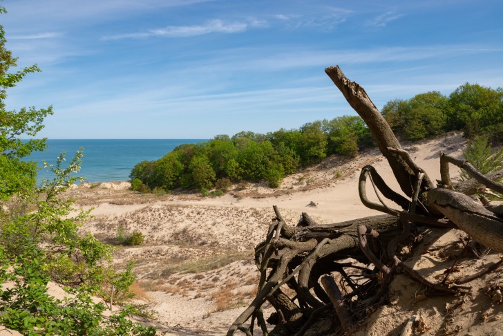 Warren Dunes Beach