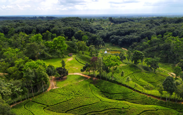 Sylhet, Bangladesh