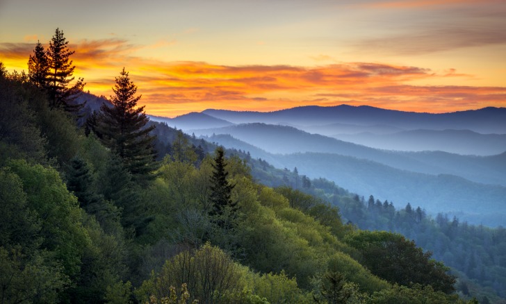 North Carolina