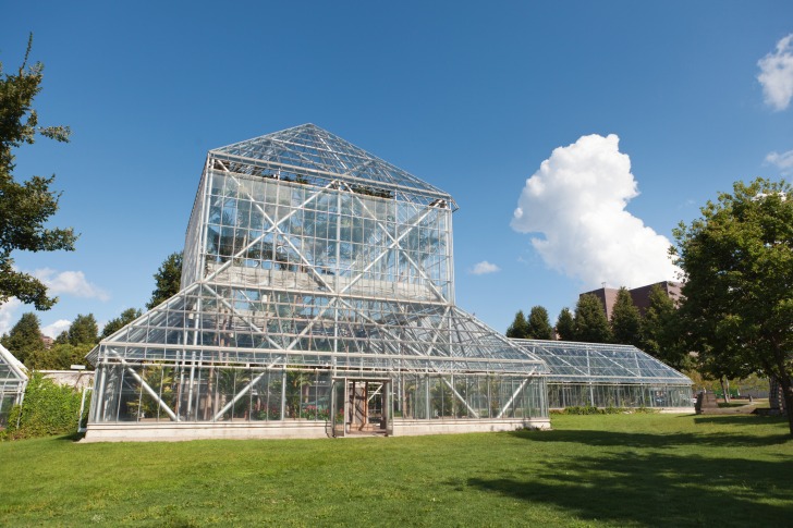 Minneapolis Sculpture Garden