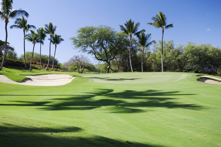 Maui Golf and Sports Park