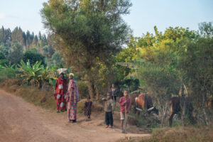 Ngozi A group of people is casually walking down a winding dirt road, Burundi