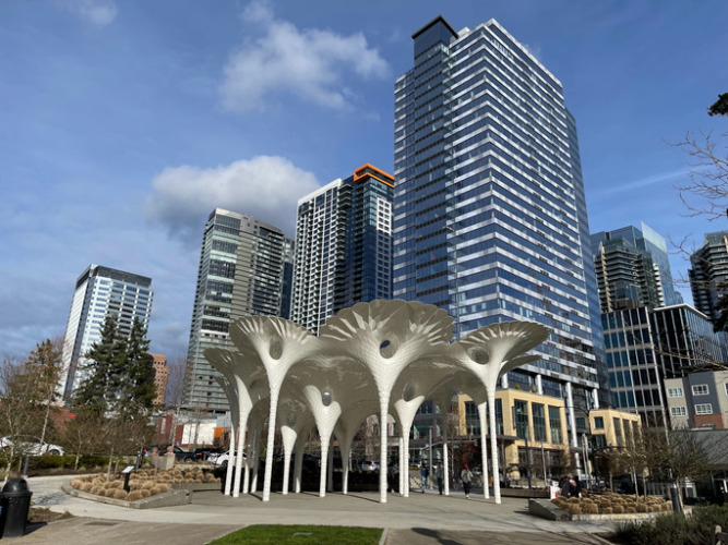 Bellevue Downtown Washington