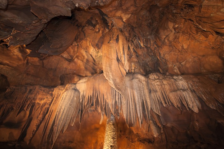 Mammoth Cave National Park