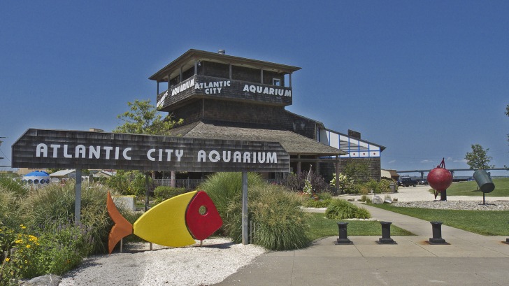 Atlantic City Aquarium 