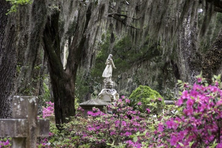 Bonaventure Cemetery