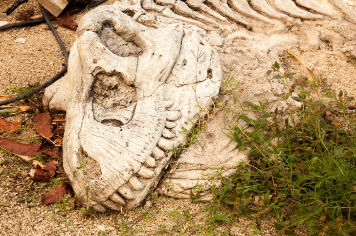 Dinosaur National Monument