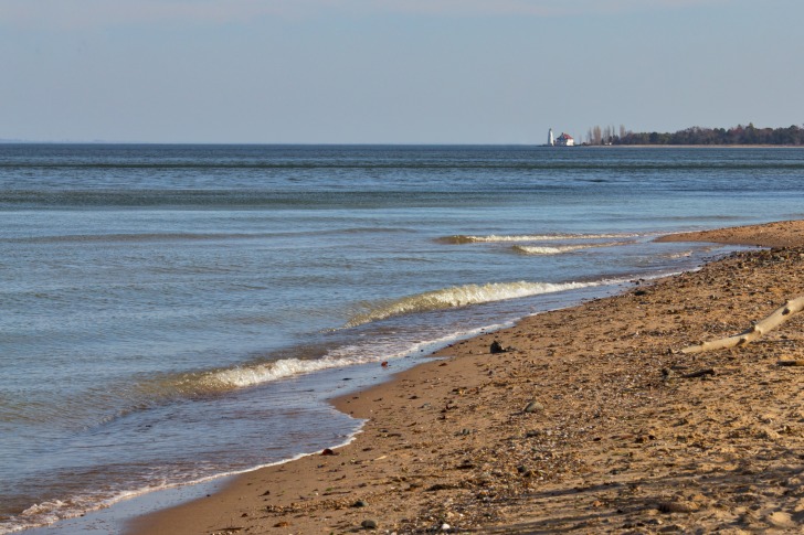 Calvert Cliffs State Park