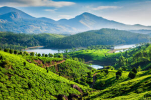 Kerala Tea plantations and Muthirappuzhayar River in hills near Munnar, Kerala, India
