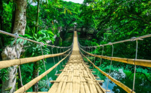 Bamboo hanging bridge over river in tropic forest
