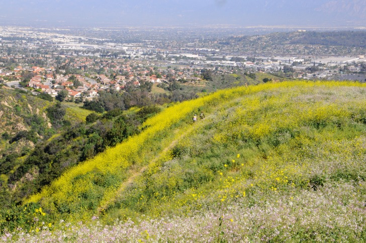 La Habra Heights 