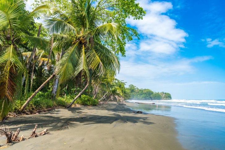 Playa Negra 