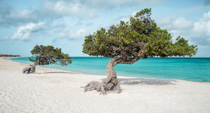 Aruba