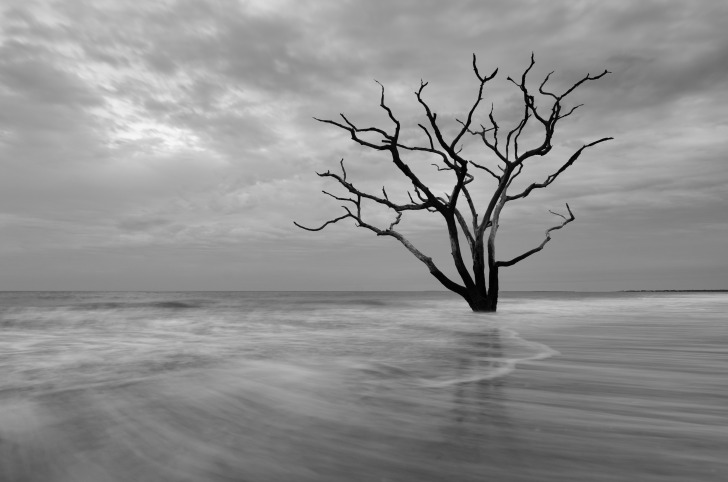 Boneyard Beach