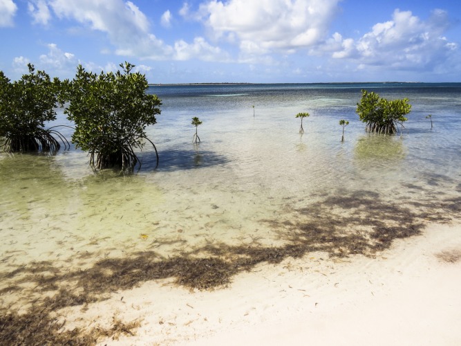 Cayo Sabinal