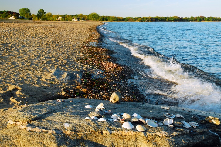 Sherwood Island State Park,