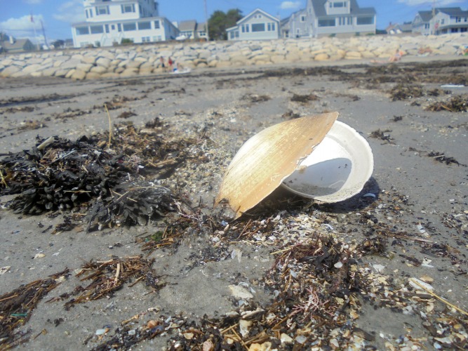 Higgins Beach