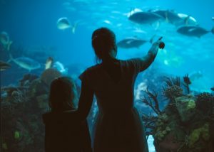Aquarium