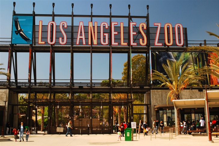 The Los Angeles Zoo