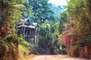 Kep Beautiful green road walkway to the Viewpoint from Kep National Park, Cambodia. Cambodian village, typical rural house building