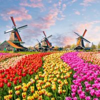 The Netherlands