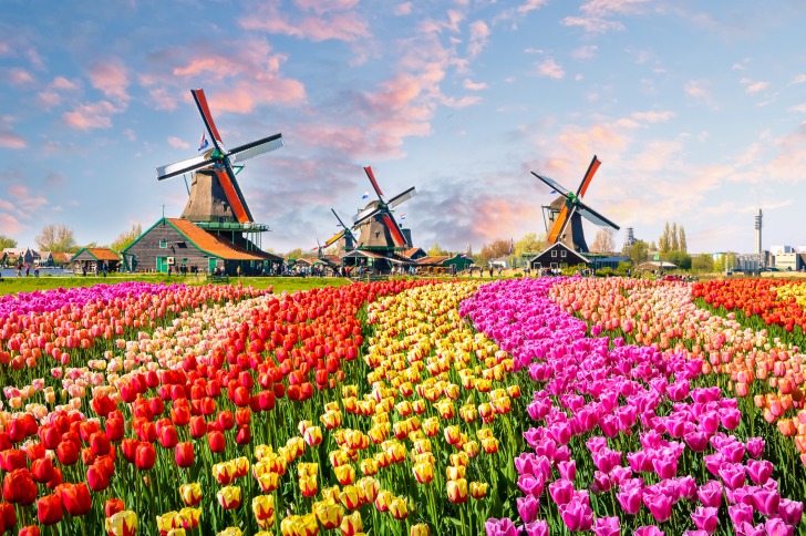 The Netherlands