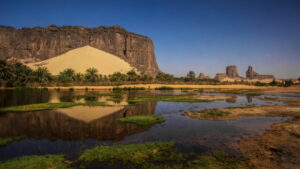 Pala Anoa Oasis, Borkou region, Chad (Tchad)