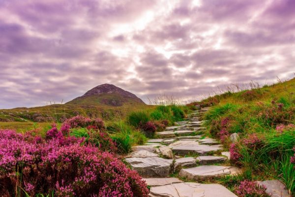 Cobbled path