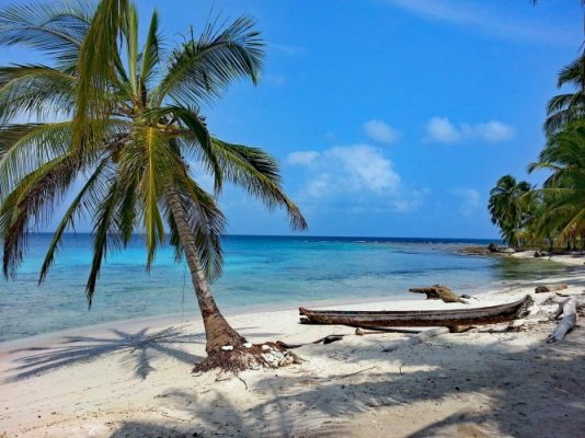 Palm trees on the beach