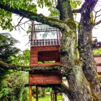 Treehouse, Italy