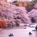 tourist city in japan