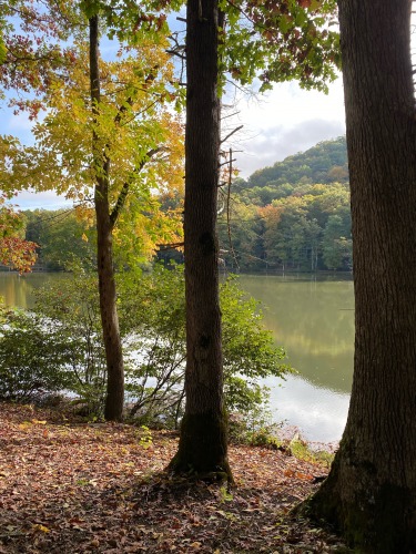 Lake Marion