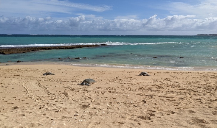 Spreckelsville Beach